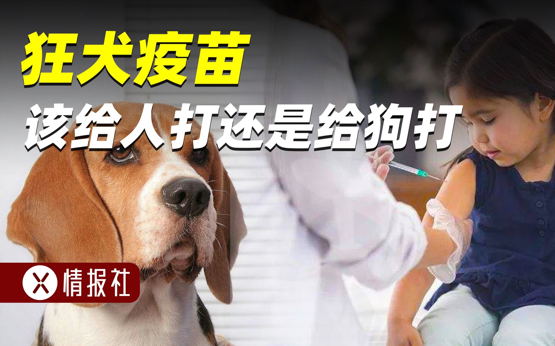 [图]狂犬疫苗打错了？为啥外国都给狗打，只有中国给人打？