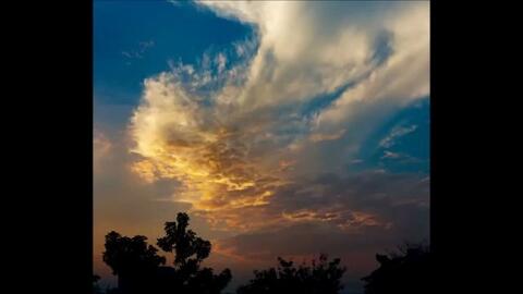 搜索 哔哩哔哩 つロ 干杯 Bilibili