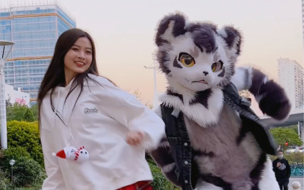 【苏司喵】hype boy抒情版翻跳 猫虎联动!圣诞快乐呀