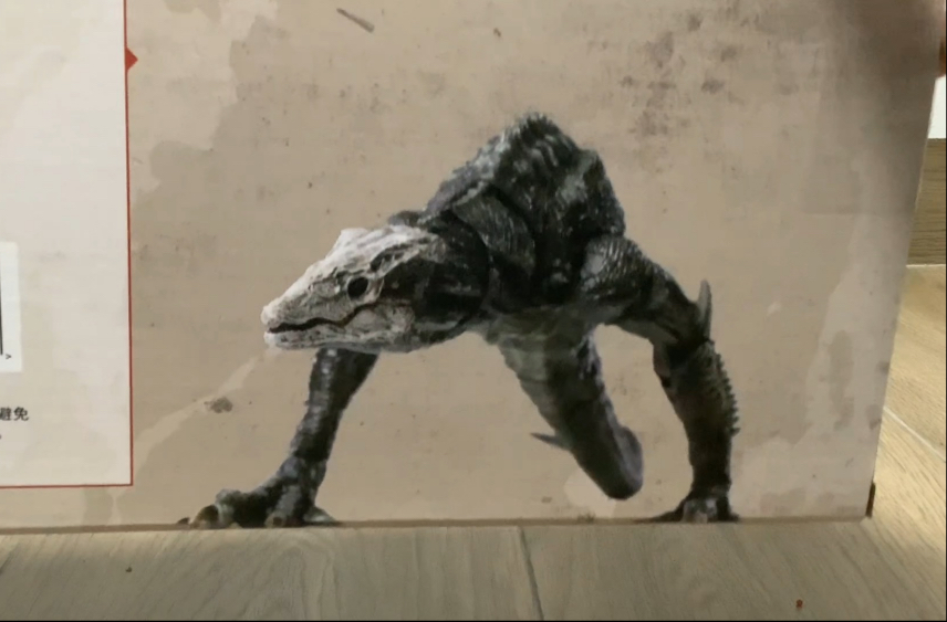 海雅骷髅巨蜥 画质补拍 能够直观的看出细节刻画 我这只歪嘴不知道是