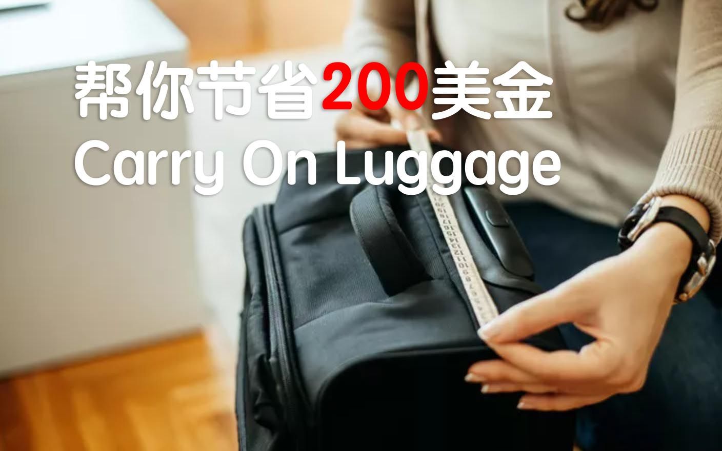 能帮你省钱的旅行箱包CarryOn Luggage跨境电商亚马逊选品分析阿甘哔哩哔哩bilibili