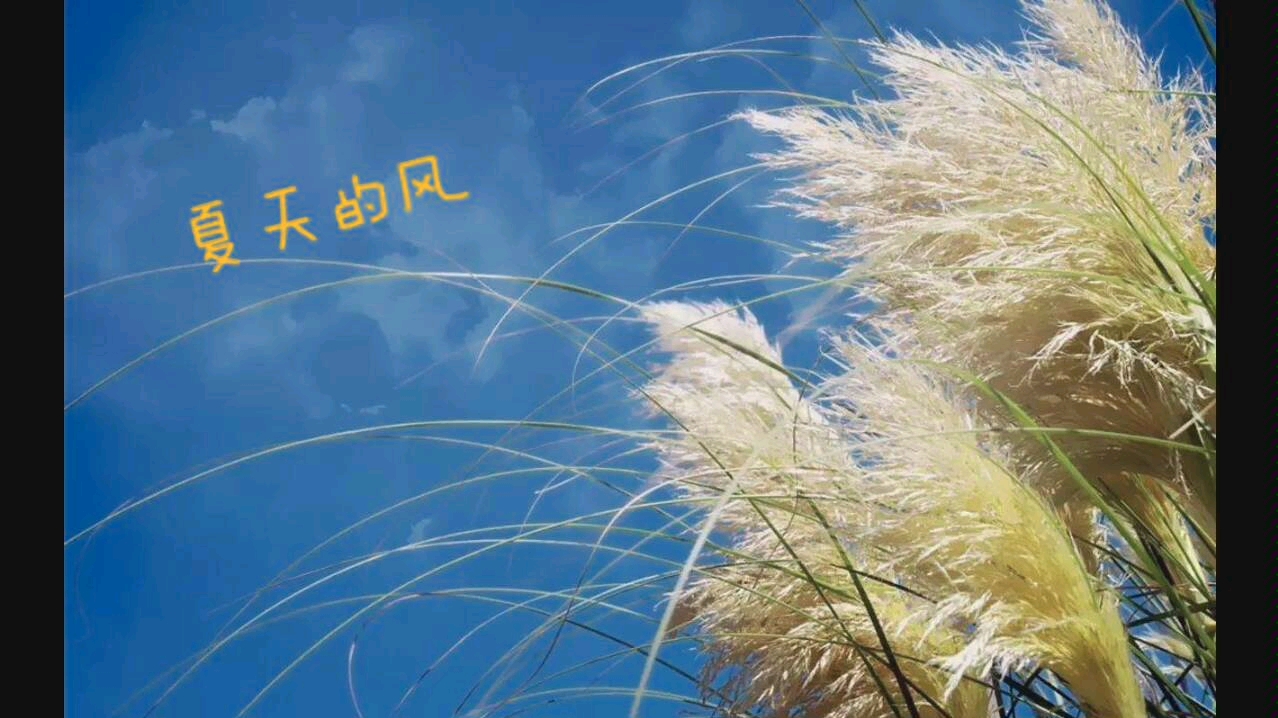 【夏天的风】夏天的歌,夏天的风