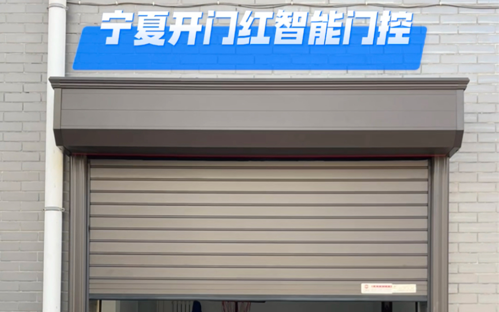 宁夏智能高端车库门安装案例