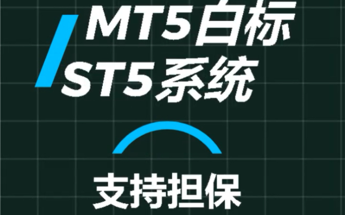 MT5白标、ST5系统全套包网搭建,支持担保,提供跟单.一站式解决方案,您值得拥有.哔哩哔哩bilibili