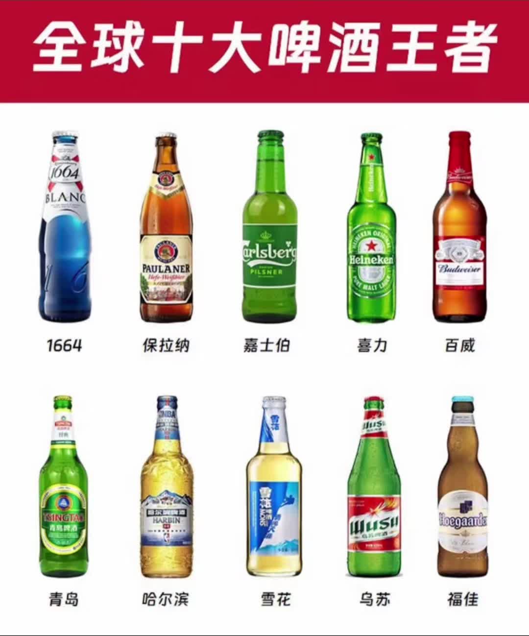 十大啤酒王者