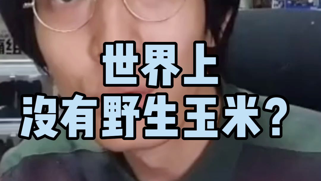 世界上没有野生玉米给溜溜哥捧个哏