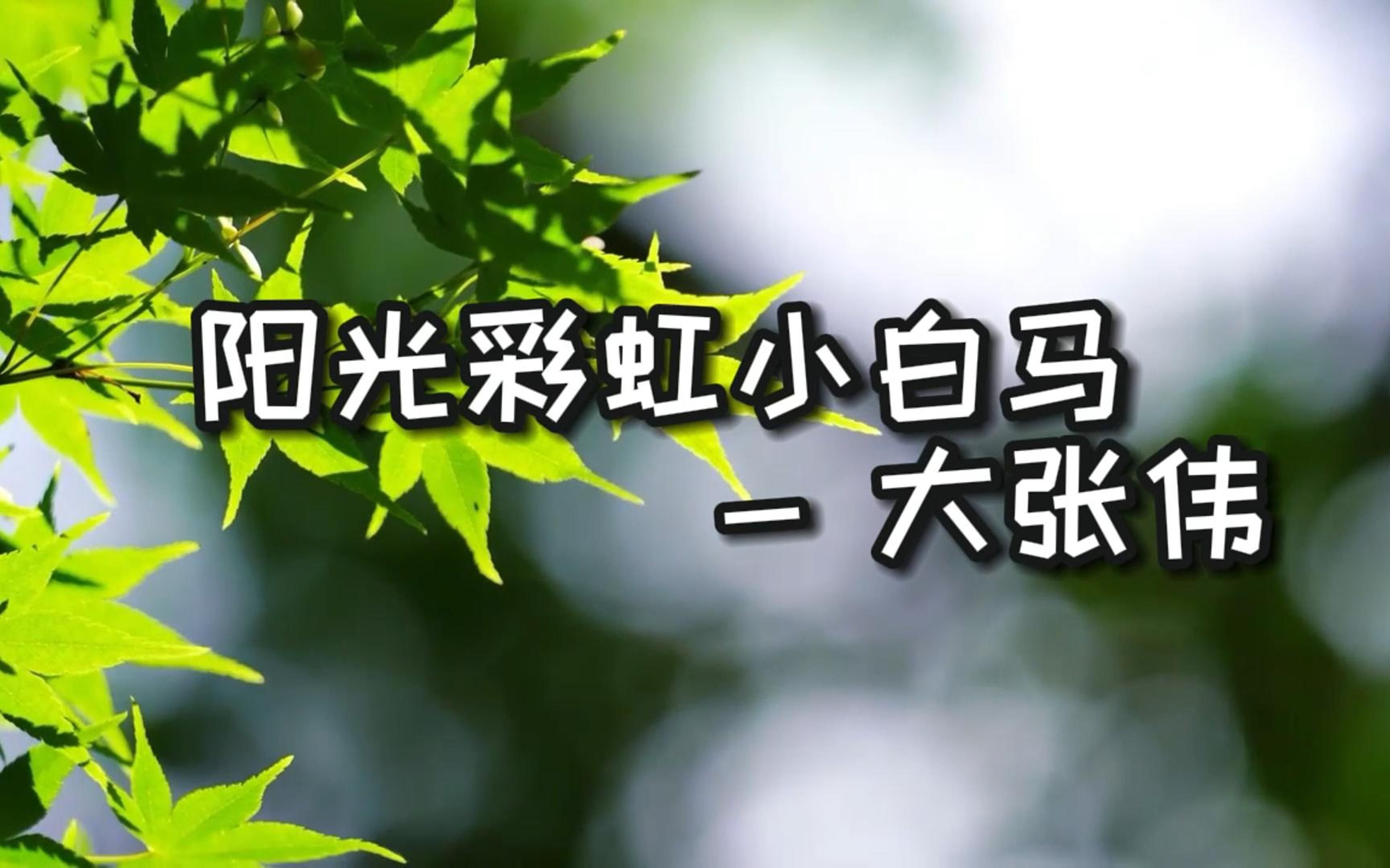 阳光彩虹小白马 - 大张伟