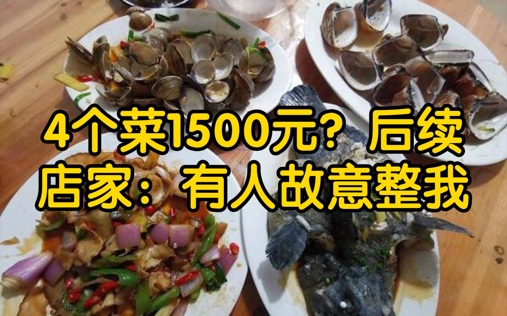 停业整顿不服!“北海4个菜1500块”没查出大问题,商家:有人故意整我!哔哩哔哩bilibili