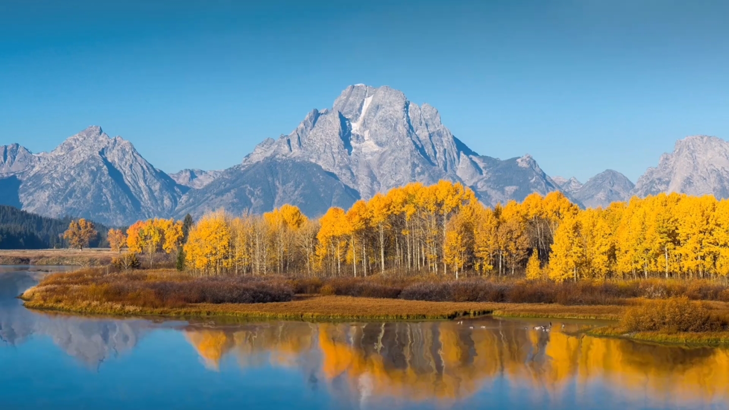 海蓉音乐励志语录正能量满满爆棚,一键三连,喜欢的宝贝们可以点赞关注