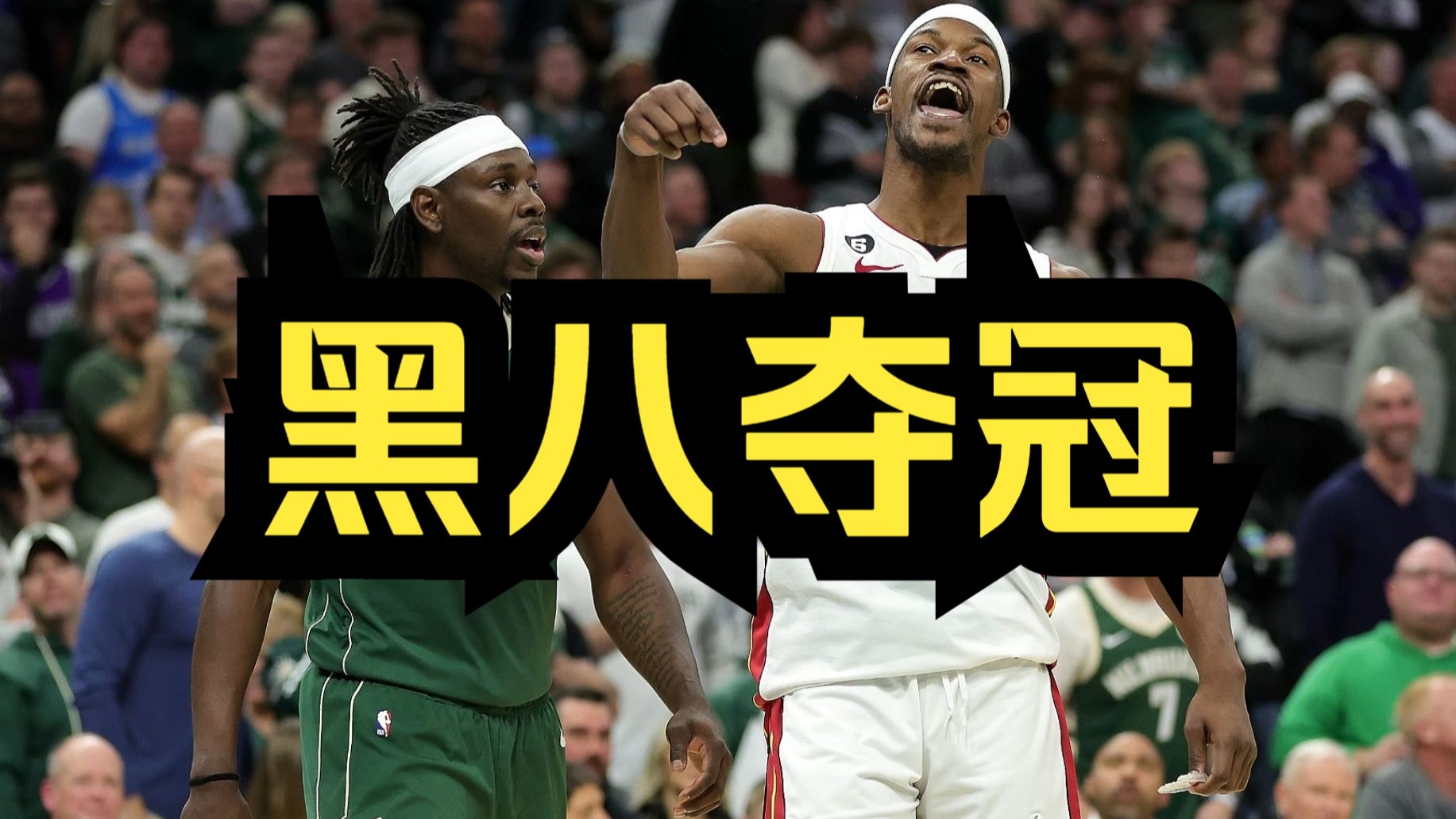 黑八夺冠-全指导破站号-全指导破站号-哔哩哔哩视频