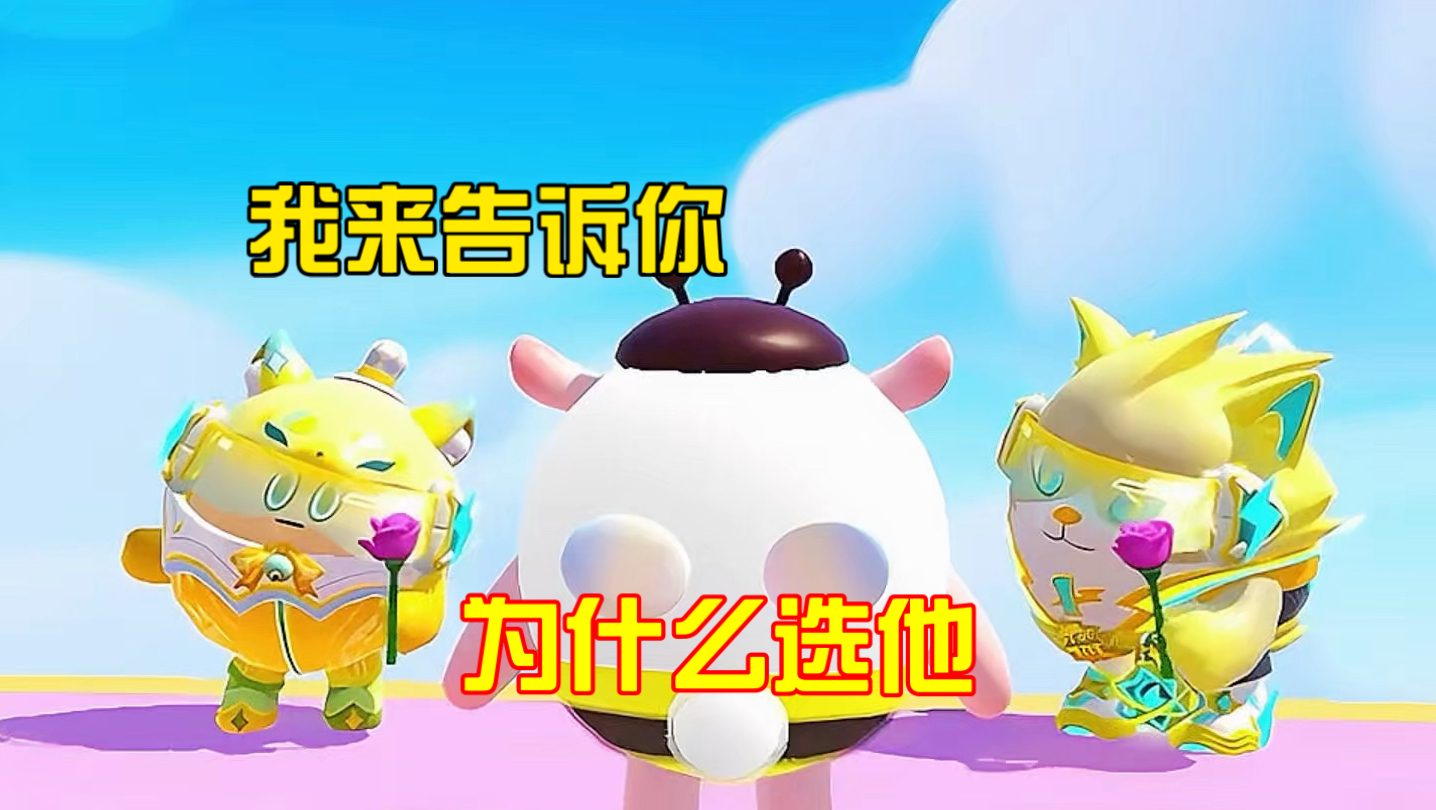 你问我为啥选他，我来告诉你！