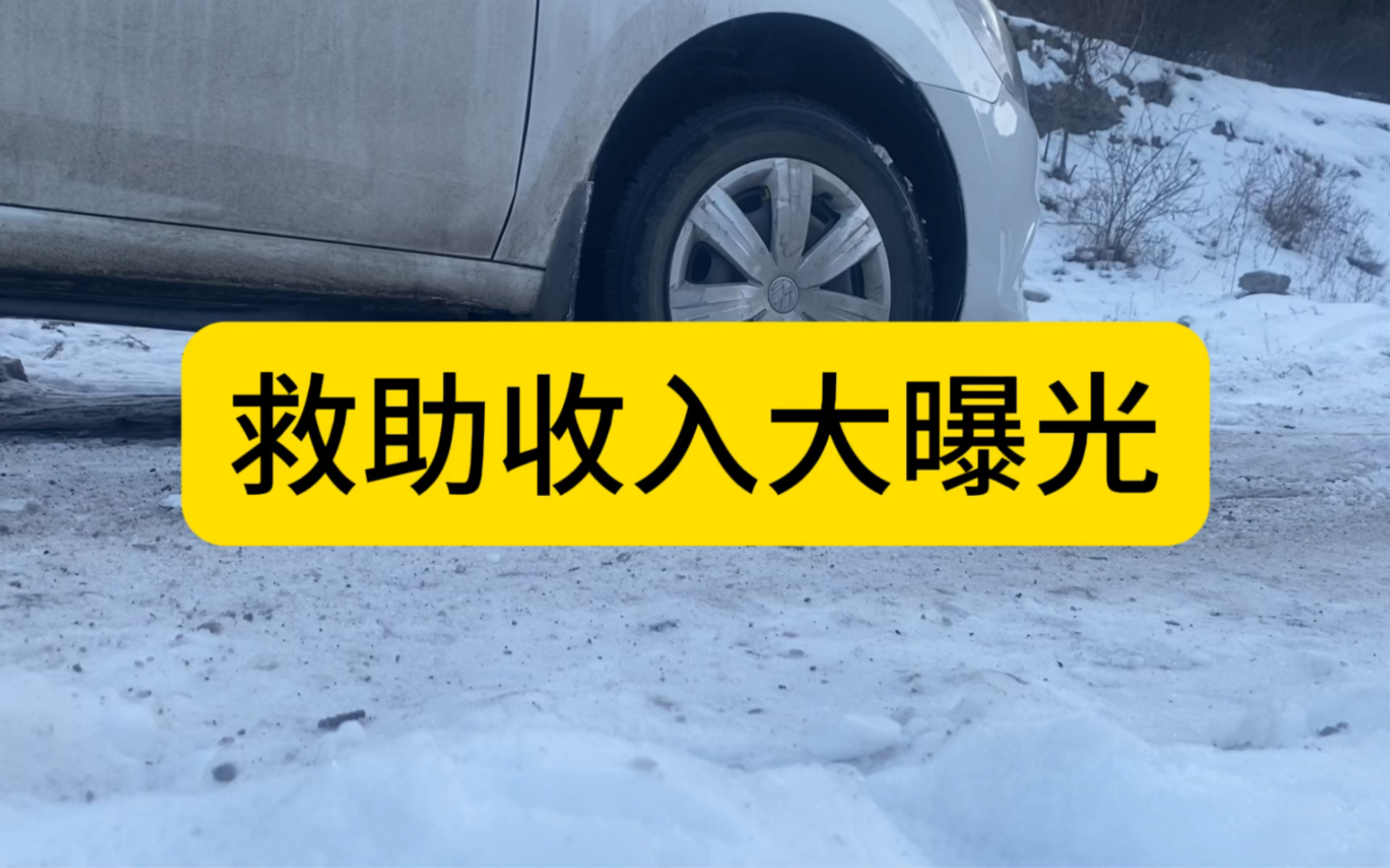 2023年救助基地的总收入揭秘,不要惊讶,不要生气.把最真实的情况告诉大家哔哩哔哩bilibili