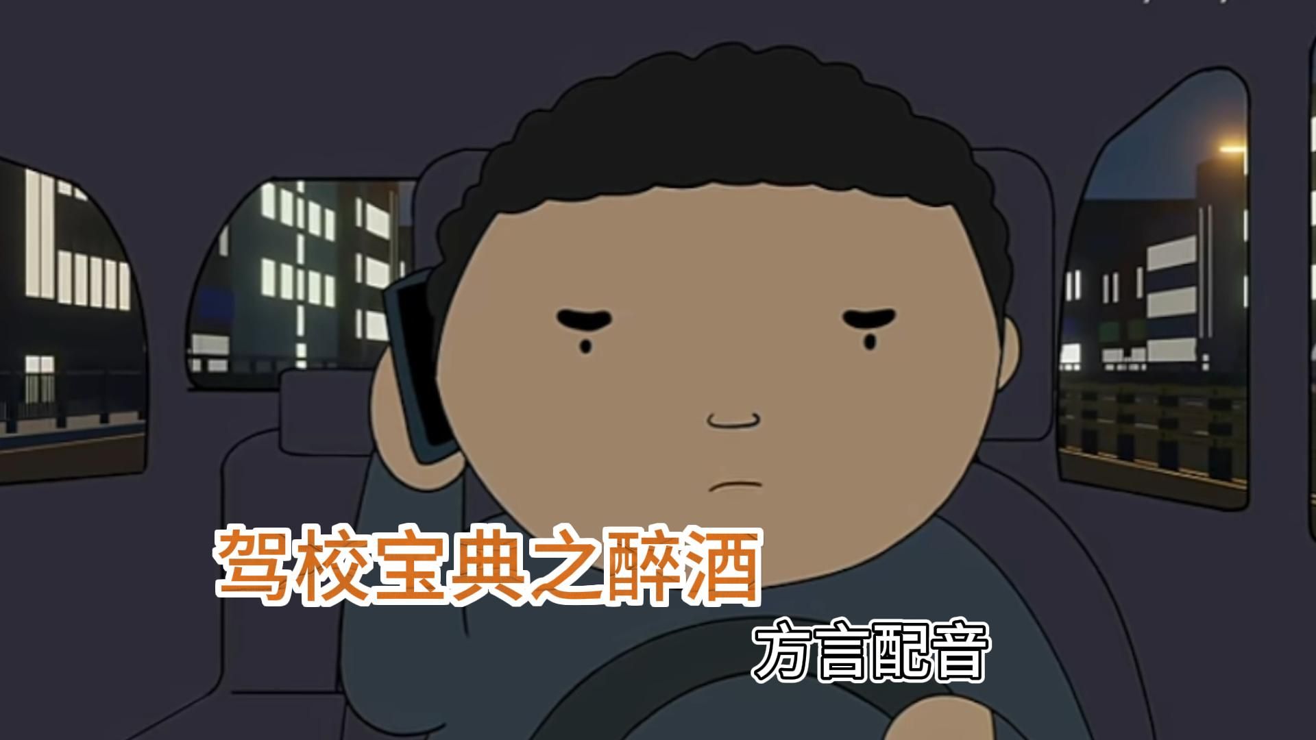粤韵风华之驾校宝典7【正义执行】