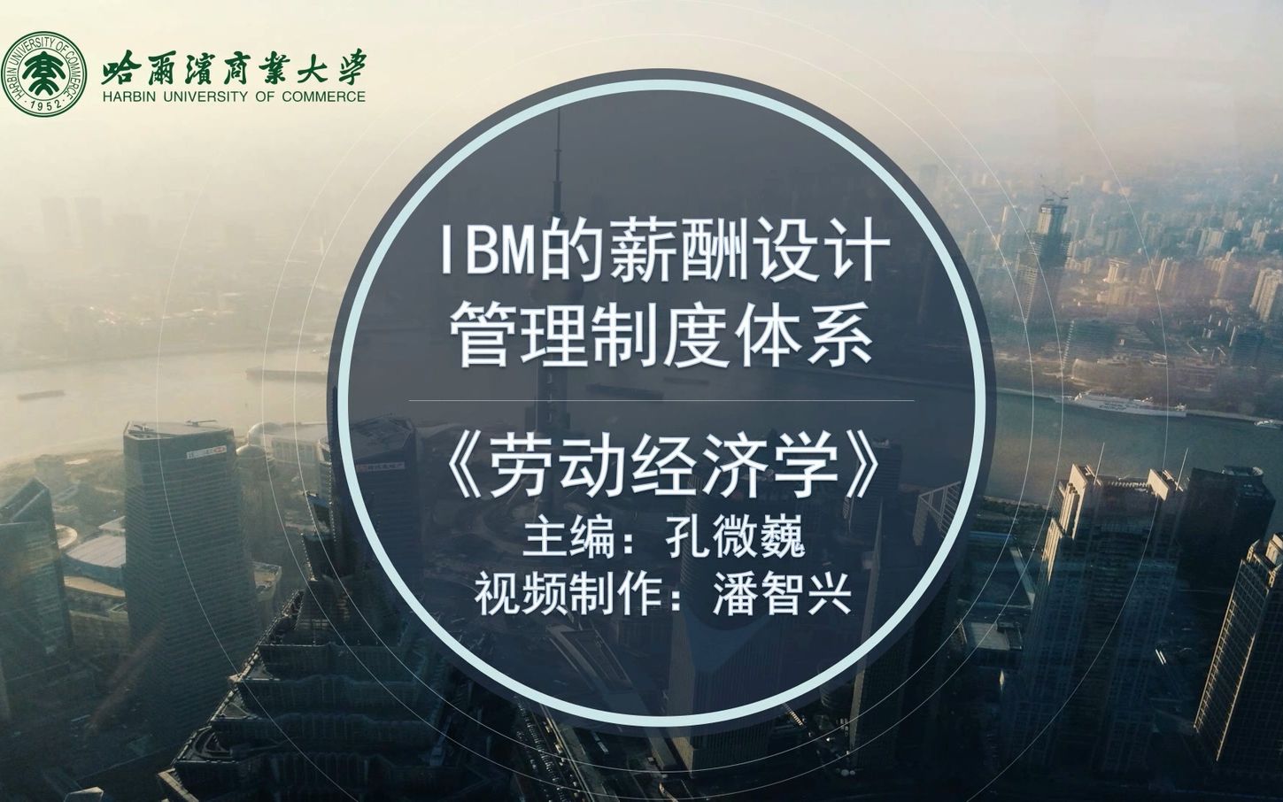 《劳动经济学》教学视频:IBM的薪酬设计管理制度体系哔哩哔哩bilibili