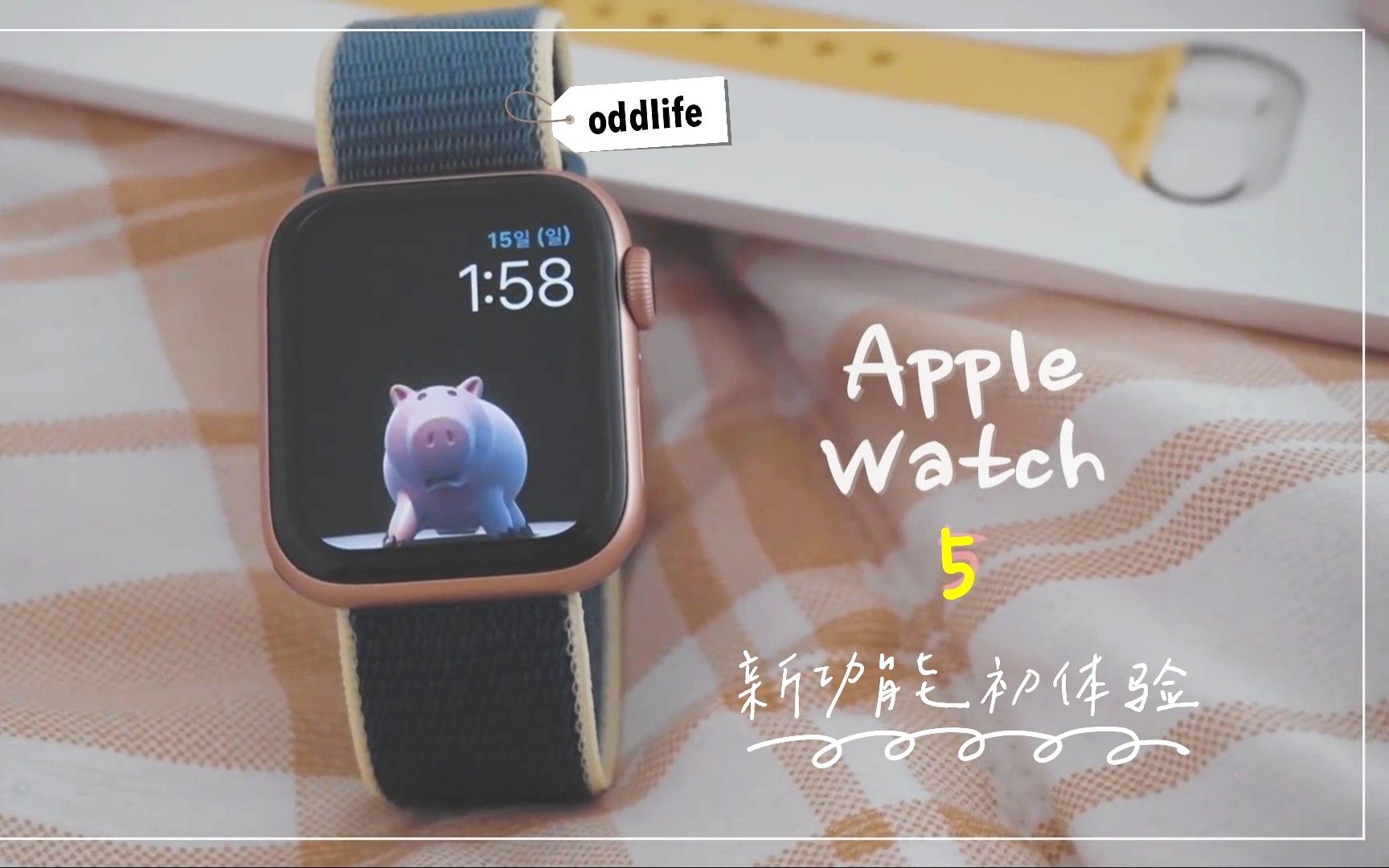 【AppleWatch5】即使高价也值得入手的原因?满足各年龄层需求的智能手表~[oddlife中字] @迹录Fount哔哩哔哩bilibili