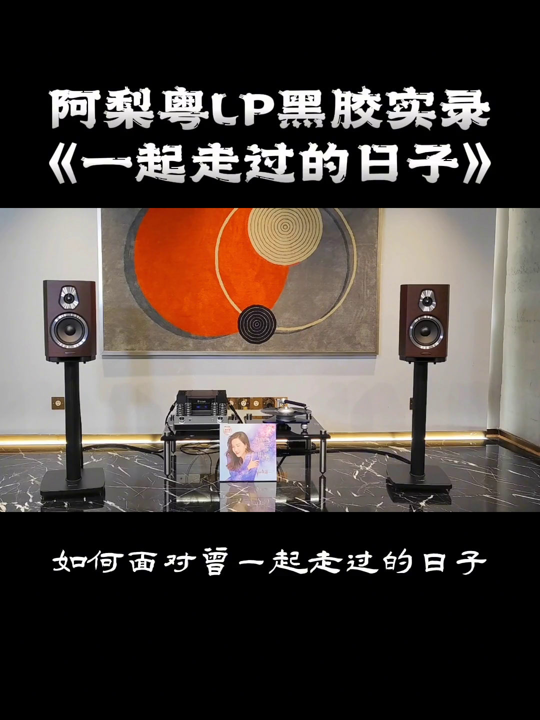 [图]热歌阿梨粤一起走过的日子经典金曲推荐发烧hifi