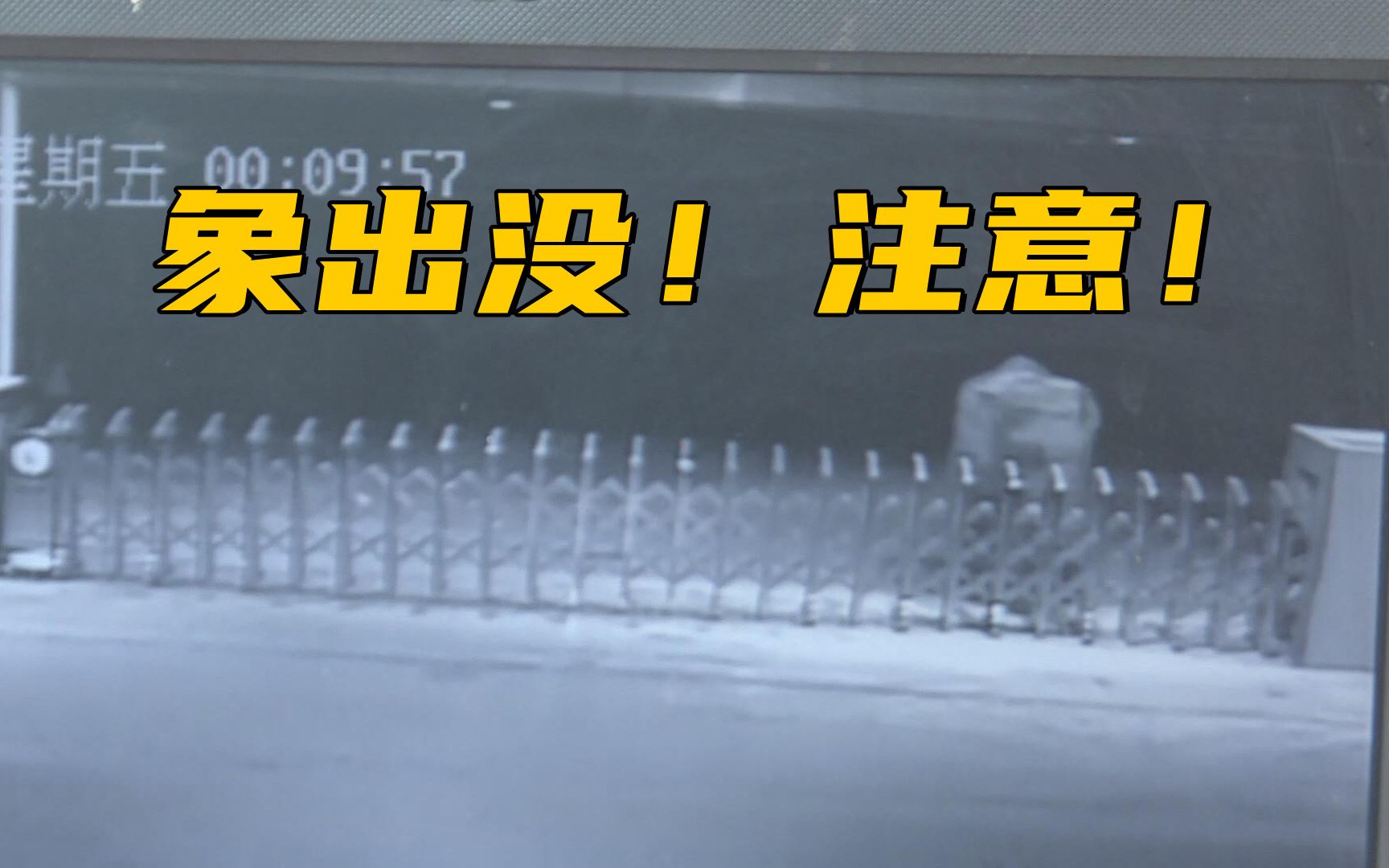 独行亚洲象靠近云南普洱主城区 当地加强监测预警哔哩哔哩bilibili