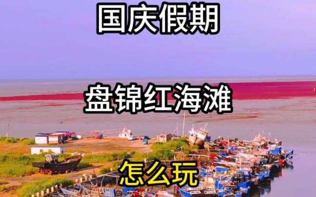 国庆假期盘锦红海滩怎么玩#旅行推荐官 #旅游攻略 #盘锦红海滩 #红海滩游玩攻略 #旅行推荐哔哩哔哩bilibili