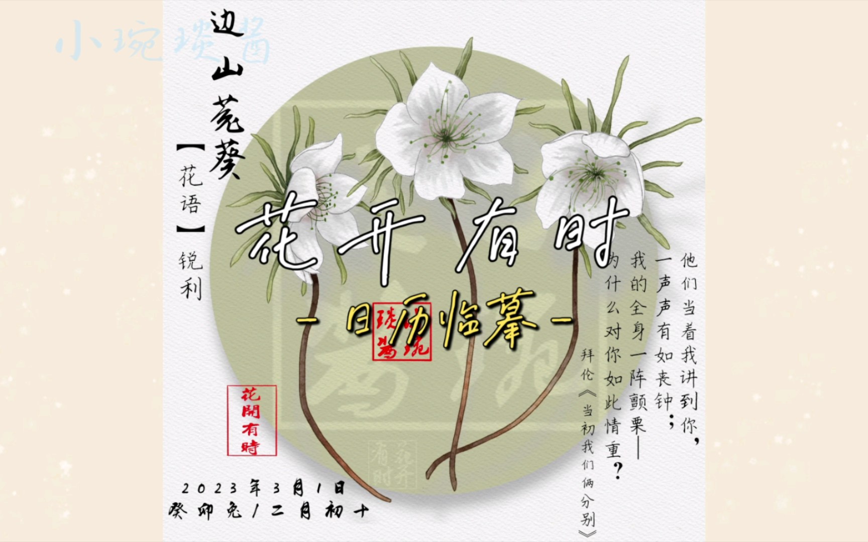 【花开有时】边山菟葵哔哩哔哩bilibili