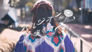 ハルシオンが咲く頃-哔哩哔哩_Bilibili ハルシオンが咲く頃-哔哩哔哩_Bilibili
