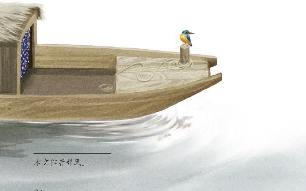 《搭船的鸟》课文插图图片