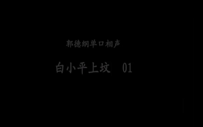 哄睡系列~无闲白~坑王郭德纲,评书单口相声《白小平上坟》又名《37号坟墓》哔哩哔哩bilibili