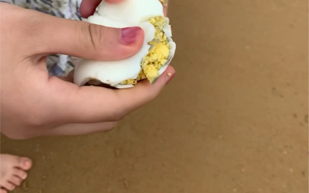 [亓三金]"海鸡蛋"