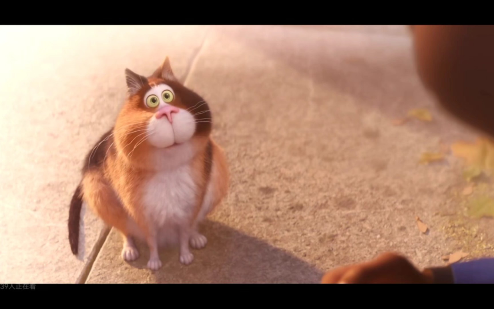 【心灵奇旅】spark 的诠释