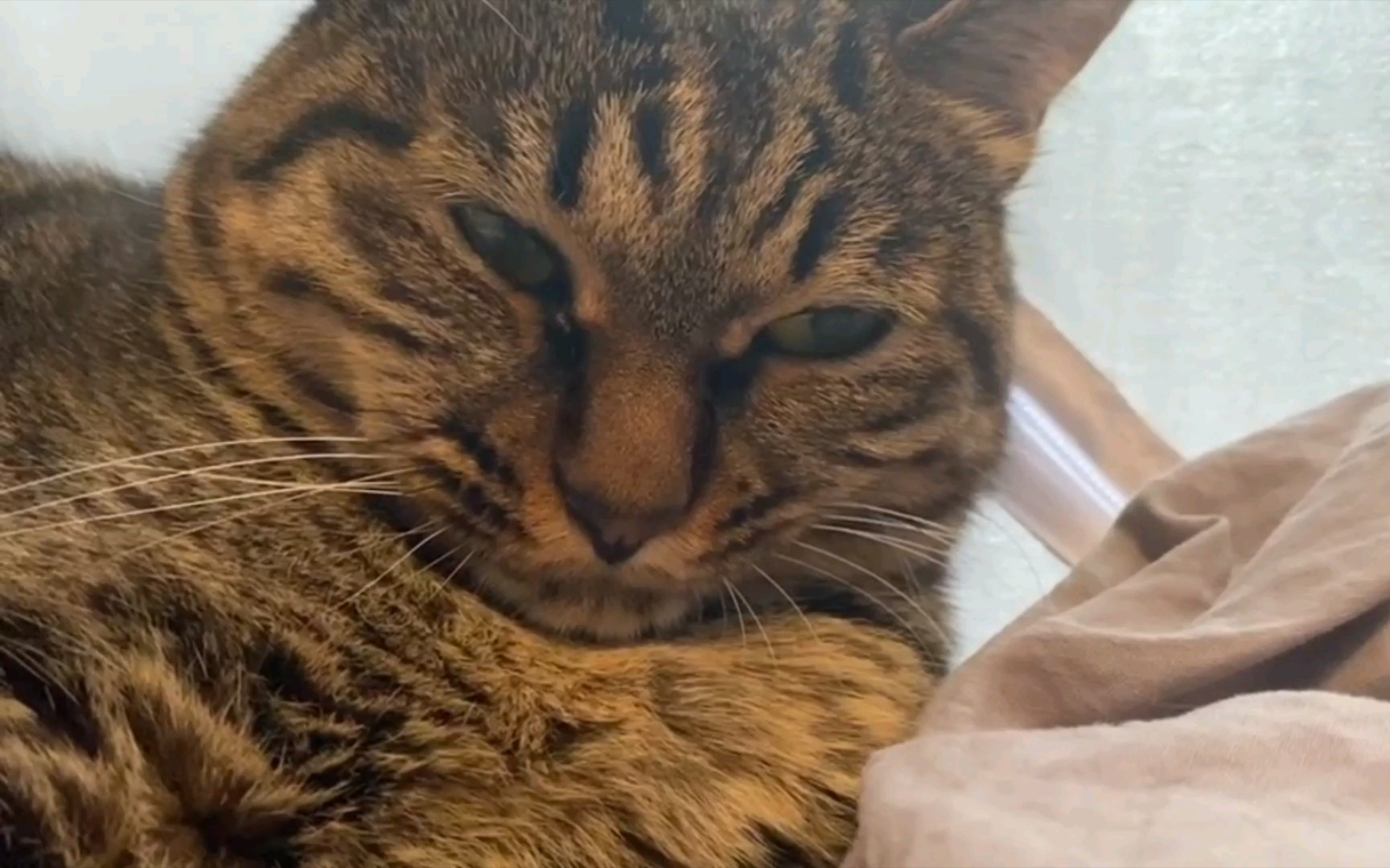 你撅嘴的样子真的好丑