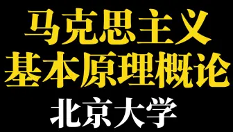 马克思主义基本原理概论【北京大学】【全41讲】