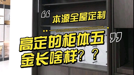 在重庆做定制衣柜橱柜必选的功能性五金哔哩哔哩bilibili