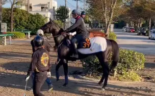 Download Video: 斯基尔芬格半妹、高情厚意产驹ジークルーネ/Siegrune，将于下周在东京出道