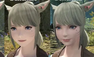 Download Video: 【FF14】画质更新捏脸对比4（慢更）