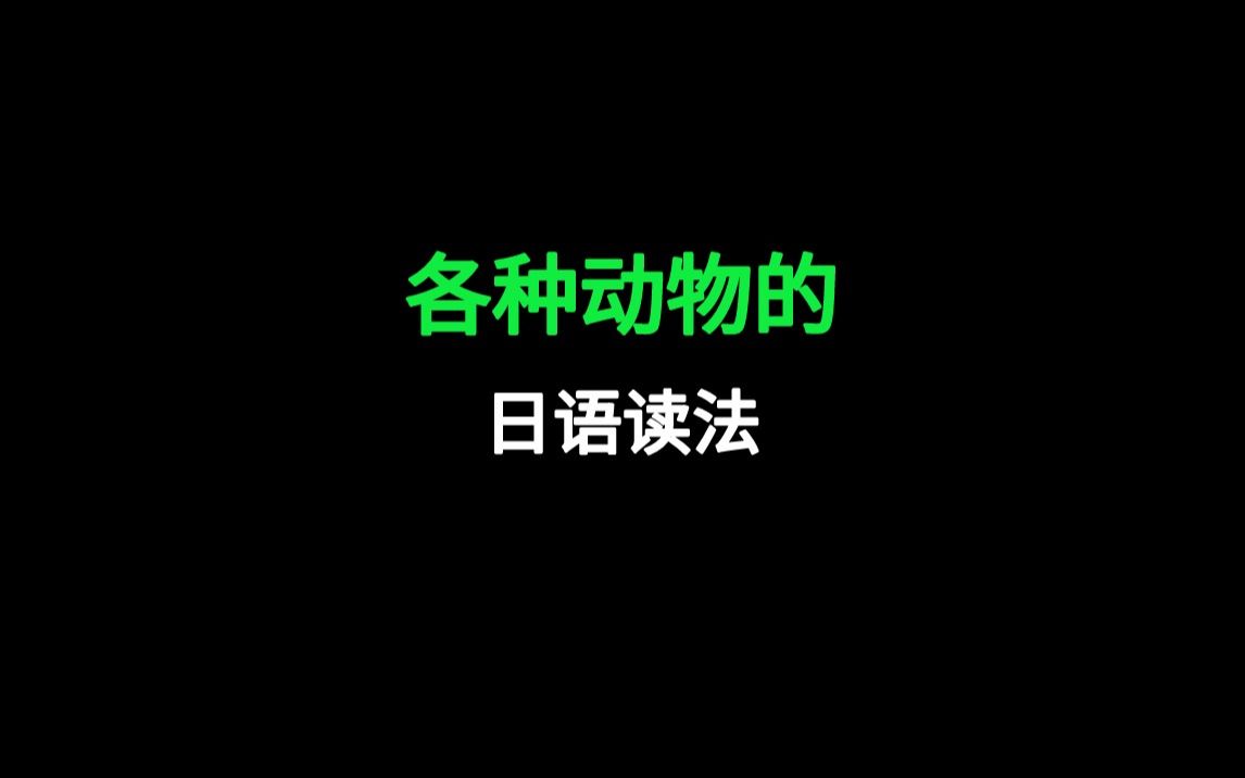 日语学习 动物名称单词学习哔哩哔哩bilibili