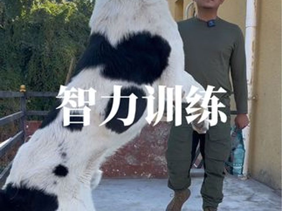 真是孺子不可教也哔哩哔哩bilibili