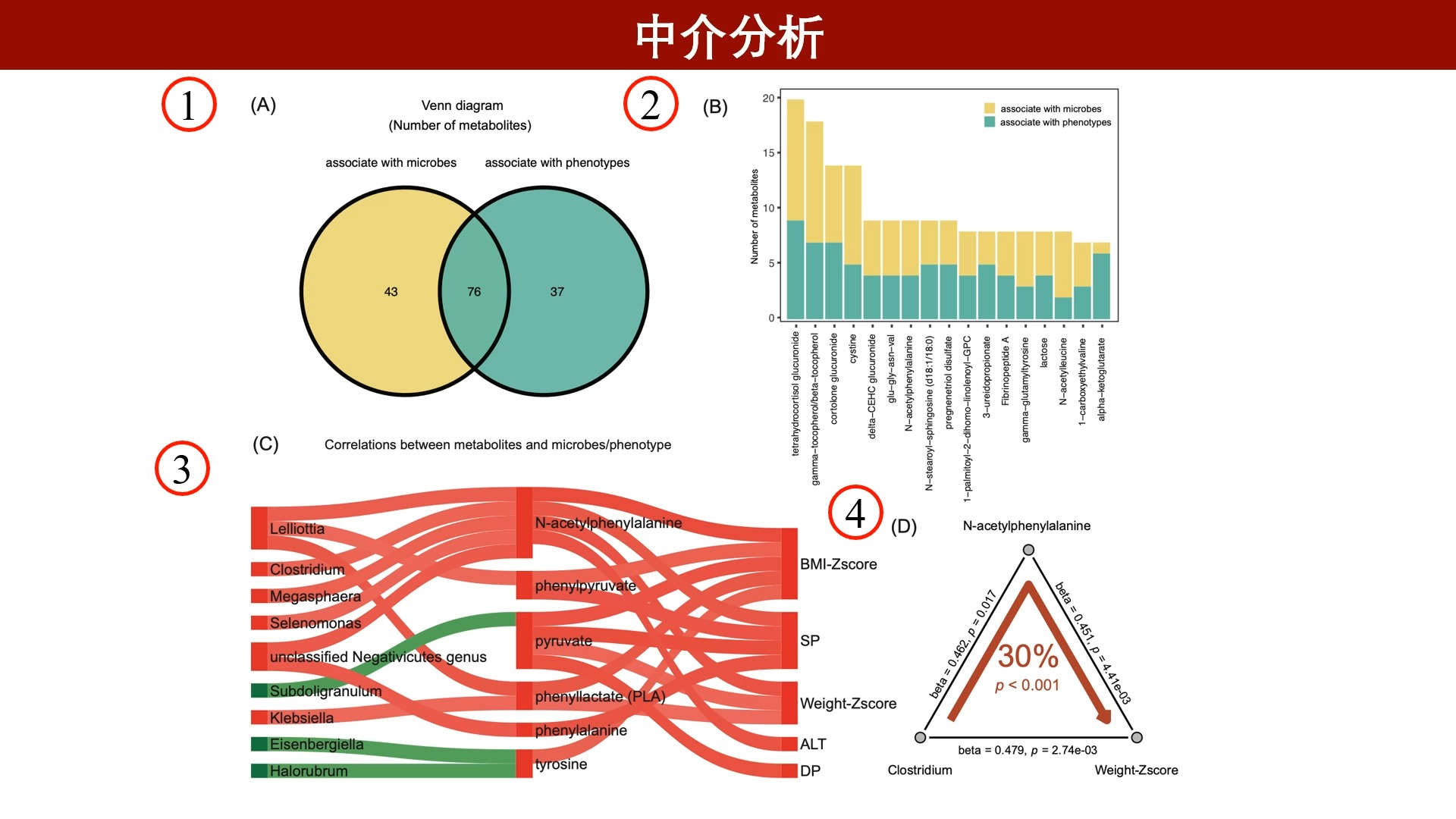 iMeta | 浙大儿院倪艳/傅君芬组微生物代谢物的发现和溯源工具MetOrigin 2哔哩哔哩bilibili