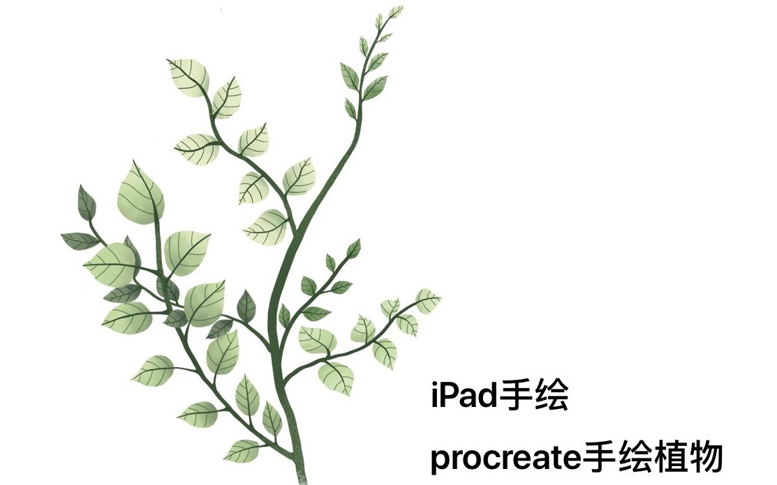 ipad procreate 植物手绘哔哩哔哩bilibili