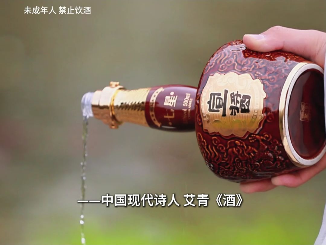 每日“酒”诗 — 带你领略现代诗歌中“酒”的魅力——《酒》艾青哔哩哔哩bilibili