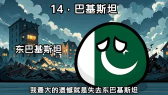 【波兰球】各国的最大遗憾