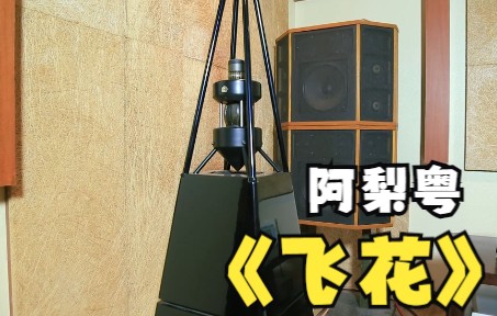 [图]粤语金曲I德国【MBL】顶级音箱系统聆听发烧歌手阿梨粤耳朵怀孕