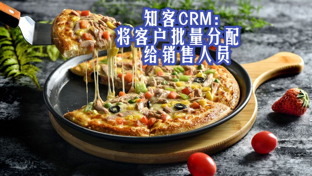 知客CRM:将客户批量分配给销售人员哔哩哔哩bilibili