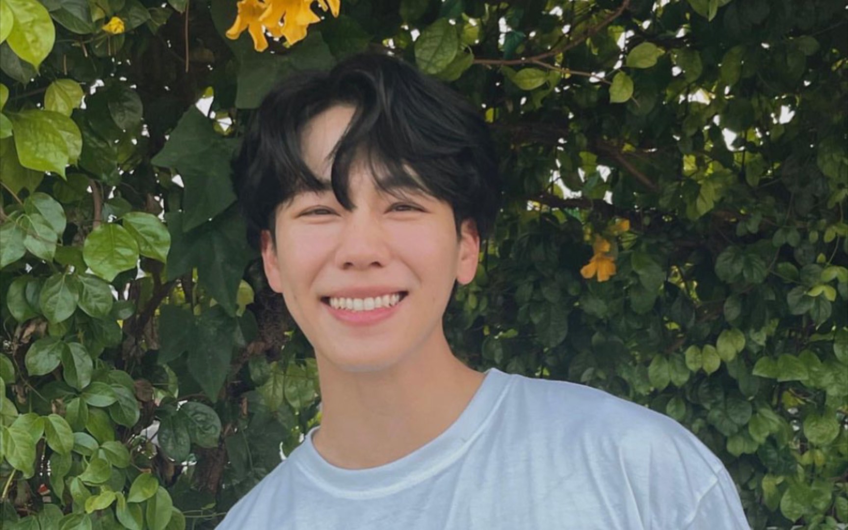 【warwanarat】沃沃的一些美颜bot