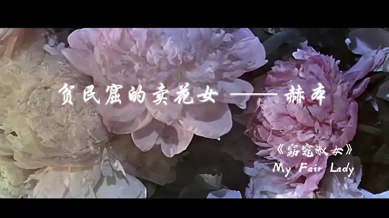 [图]【窈窕淑女】贫民窟的卖花女 赫本 Wouldn't it be lovely?