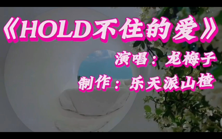 [图]《HOLD不住的爱》演唱：龙梅子  制作：乐天派山楂