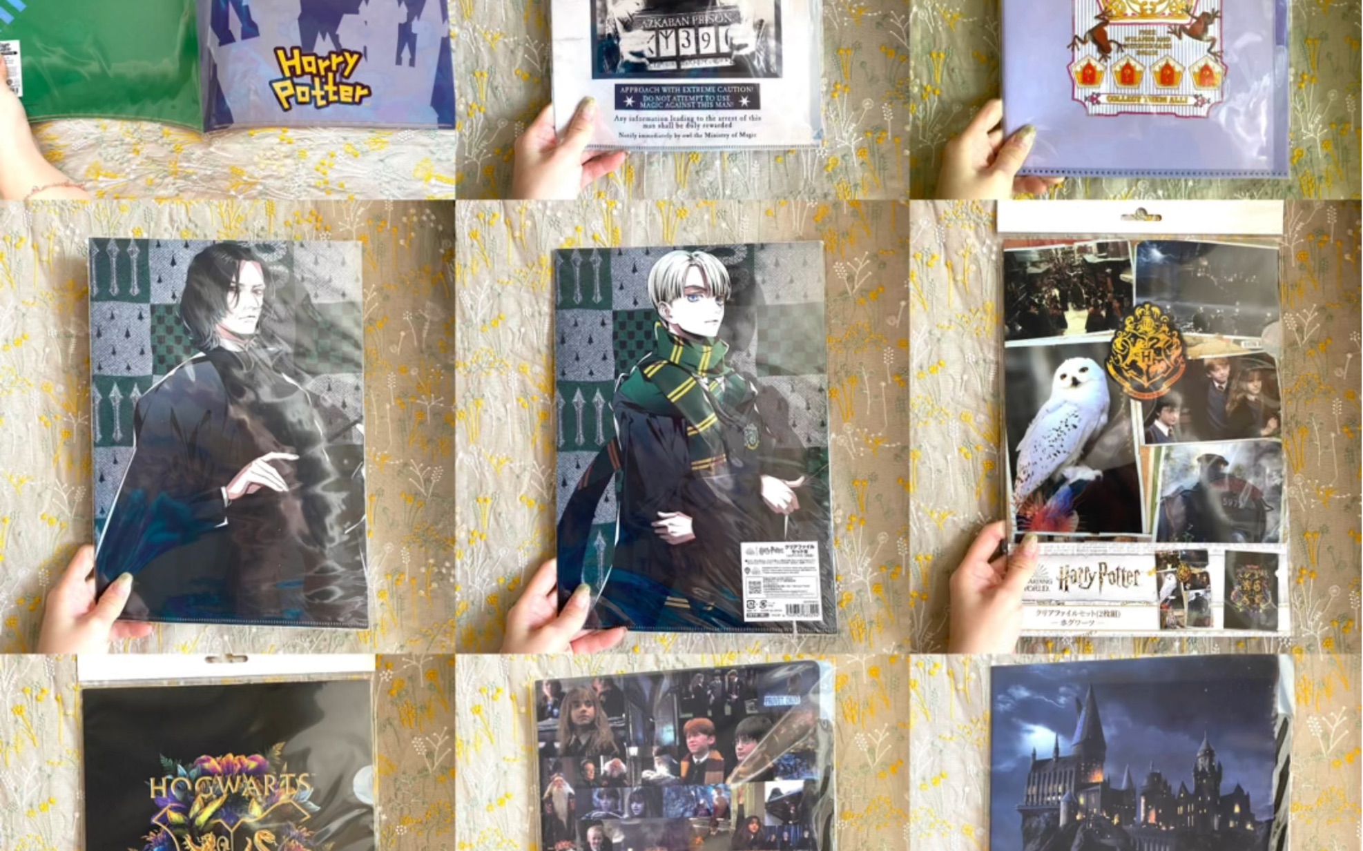 罗恩韦斯莱 赫敏 马尔福 斯内普 小天狼星