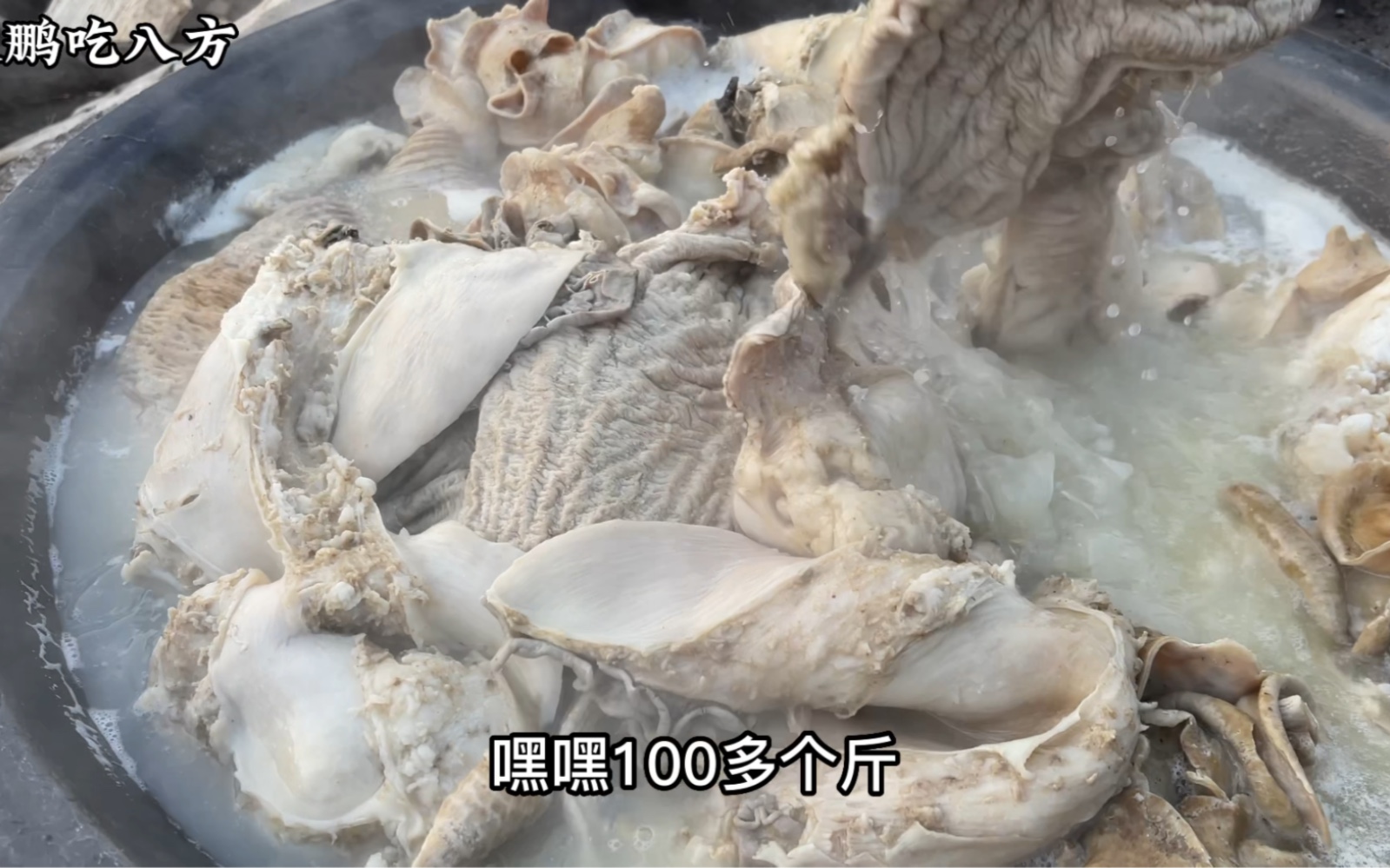 山东大叔专业煮牛碗口,35一斤12一碗,饭点顾客为吃这一口挤破头