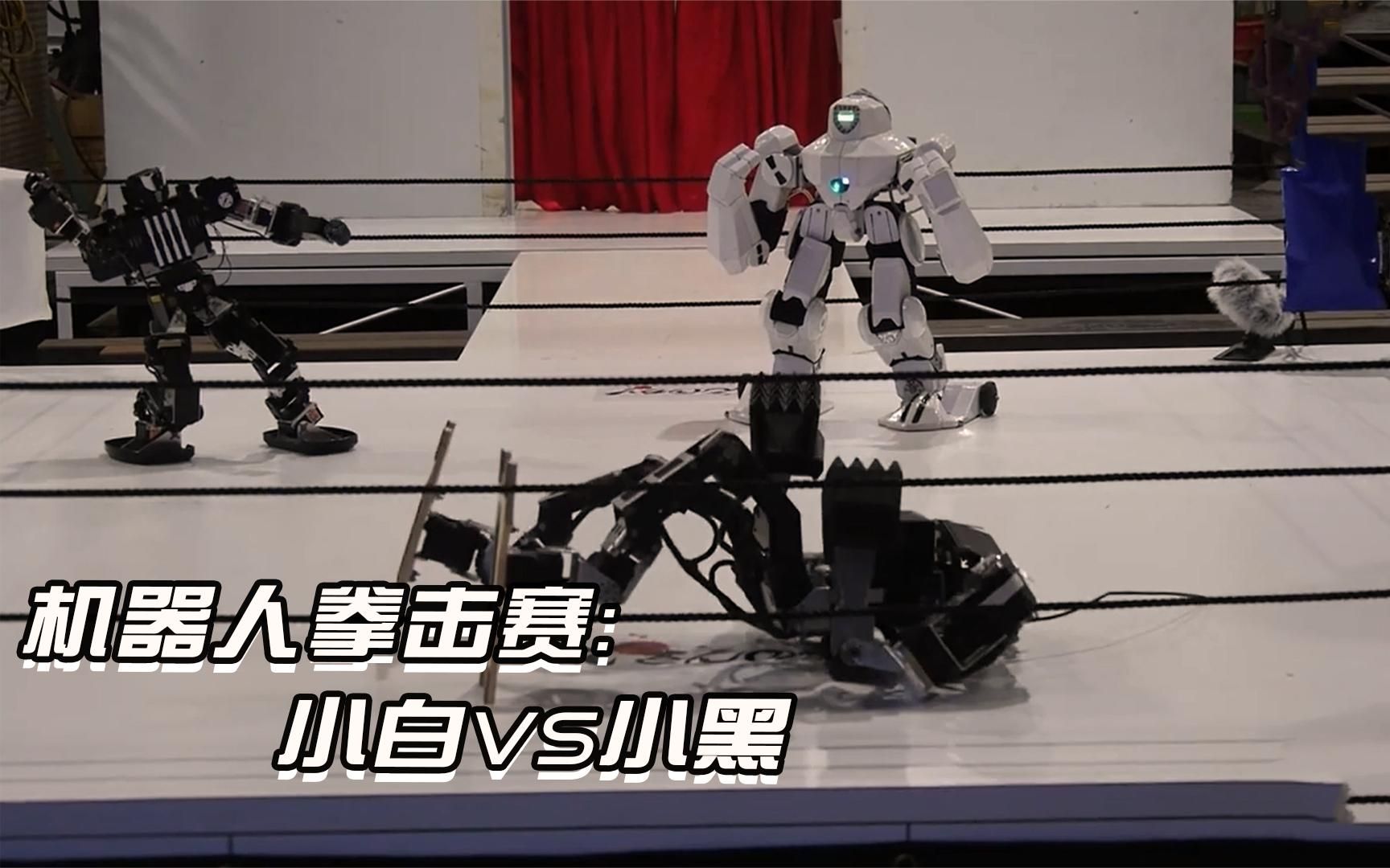 机器人拳击赛，小白VS小黑，全程压制对手