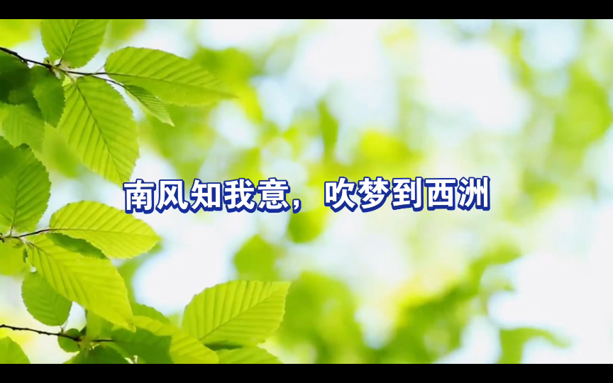 诗词中四季"风"景夏天之南风飒飒