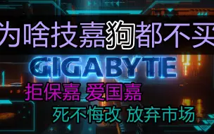 下载视频: 技嘉品牌的作死之路。世界前3是如何把自己市场玩没的。