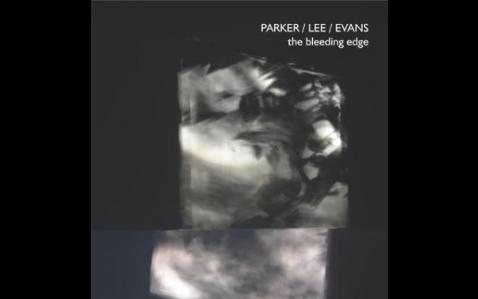 浑然天成的即兴杰作 当代先锋实验音乐 Evan Parker Okkyung Lee Peter Evans the bleeding edge哔哩哔哩bilibili